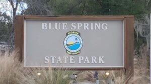 blue spring state park
